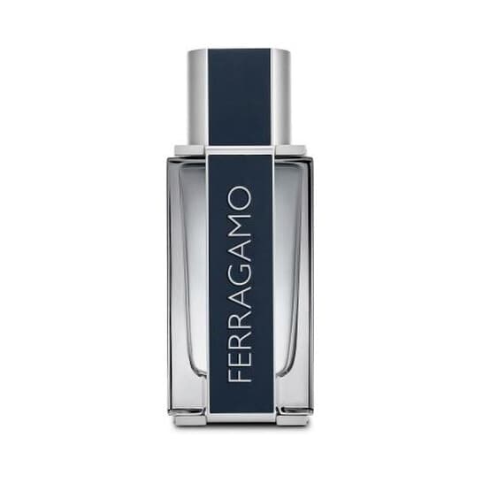 Salvatore Ferragamo Men's Ferragamo product view 1