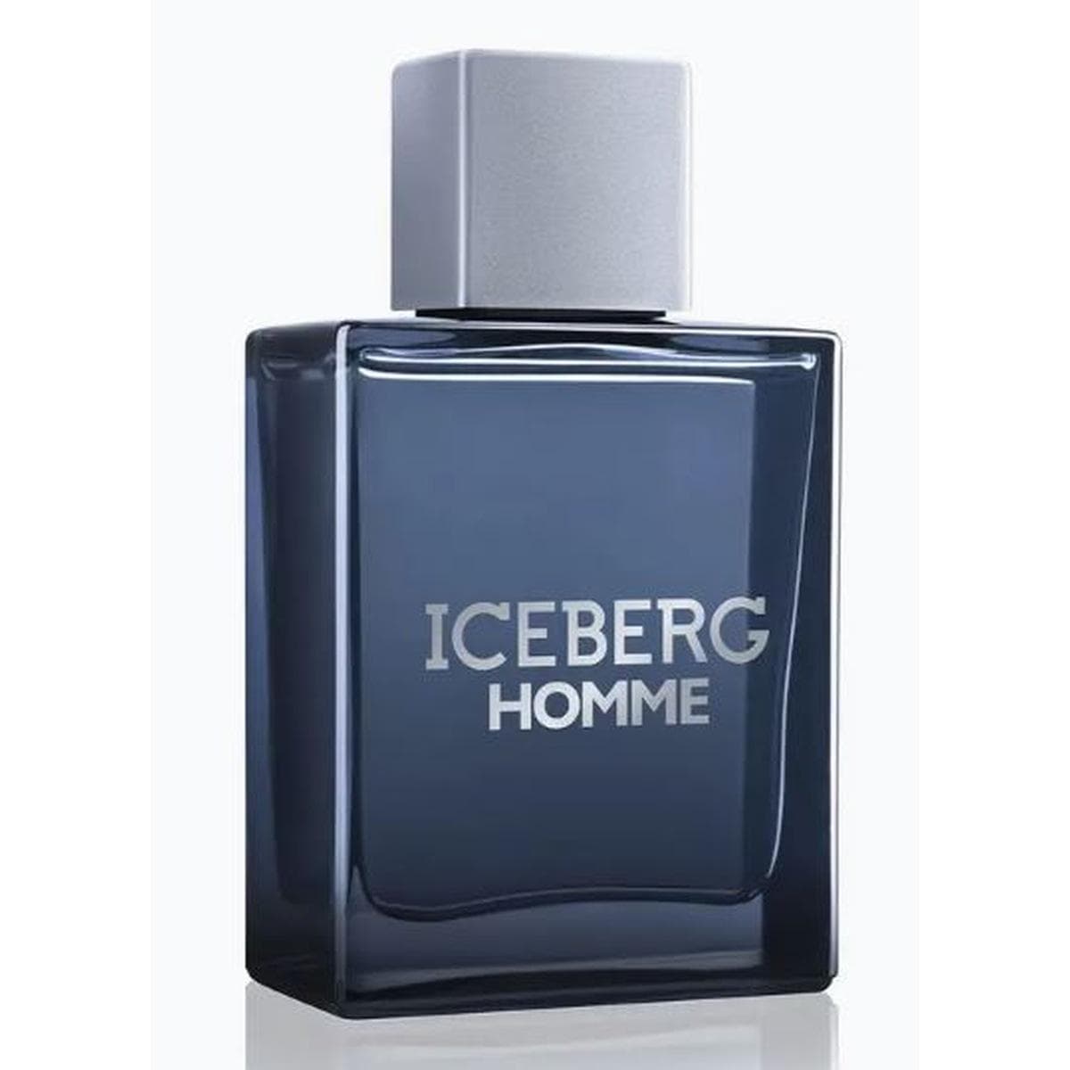 Iceberg Homme product view 1